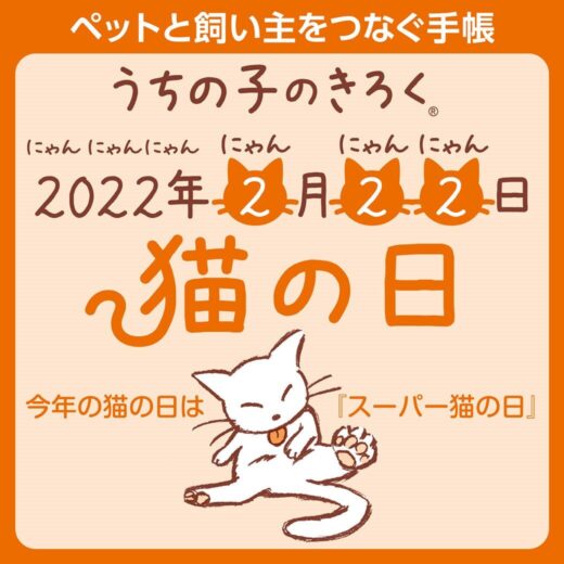 猫の日2022年